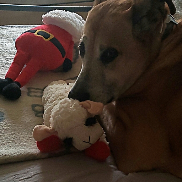 Meet your Posher, Ellen - Picture 6 of 6